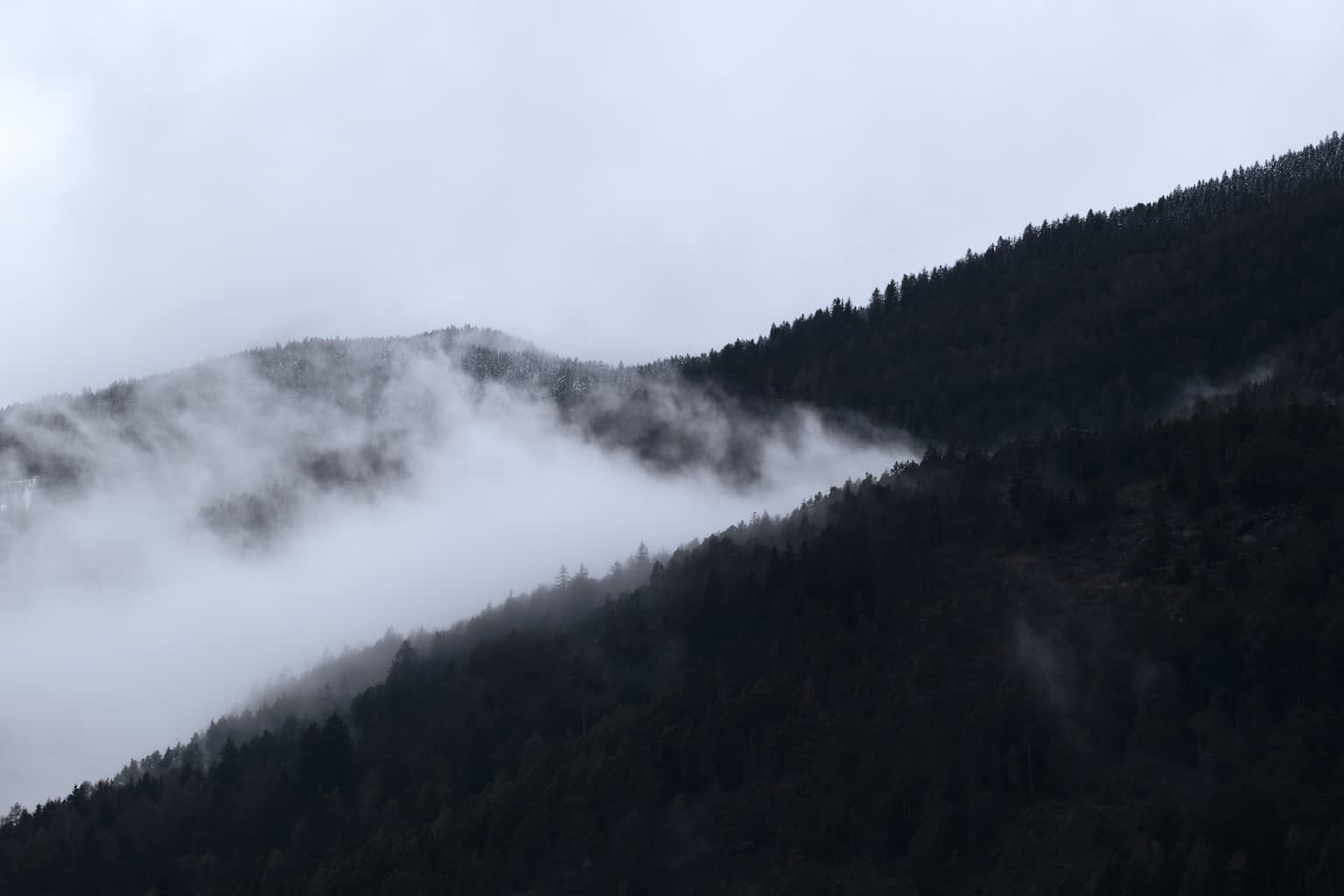A cold morning fog set between tree-covered mountain ranges with some trees covered with snow