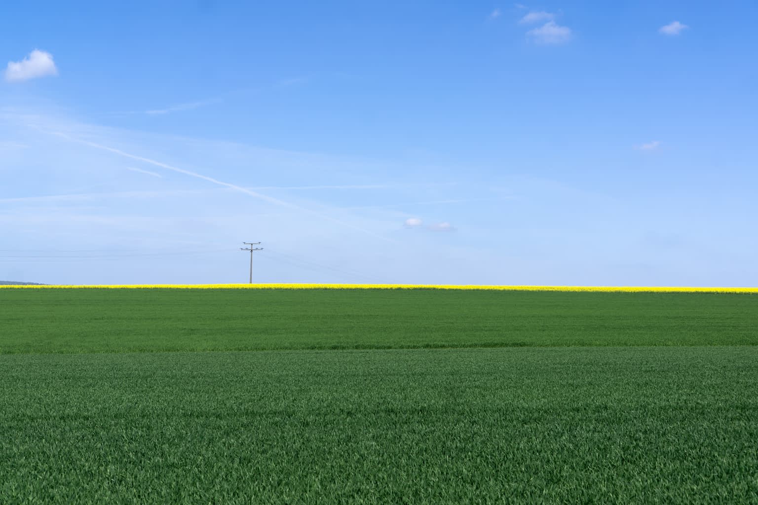 A thin bright yellow line of a rapeseed field on the horizon dividing the image vertically with lush green grass in the bottom half and a blue sky with the occasional cloud and a power pole in the top half.