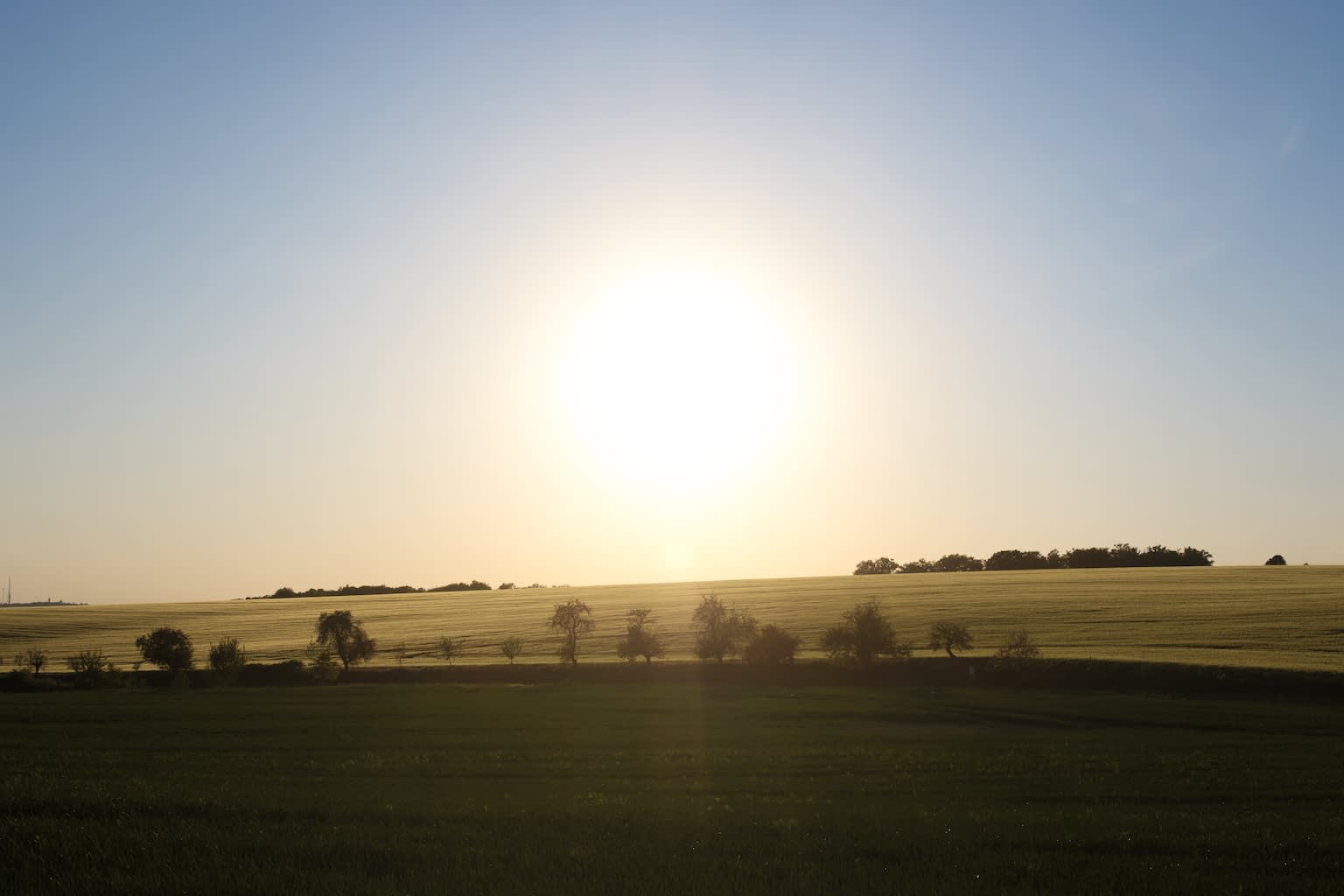 Warm sun setting agains a cool blue sky over a green and yellow grain field