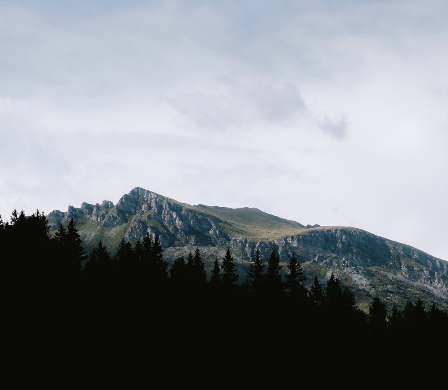 Mountain range with bright overcast sky above and dark row of trees in the foreground.