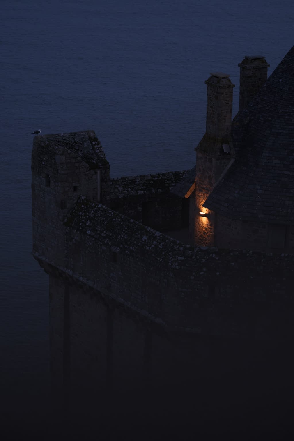 Part of the wall of the Mont-Saint-Michel at night with a seagull sitting on the left side and a warn light against the wall on the right side in an otherwise cold blue night scene.